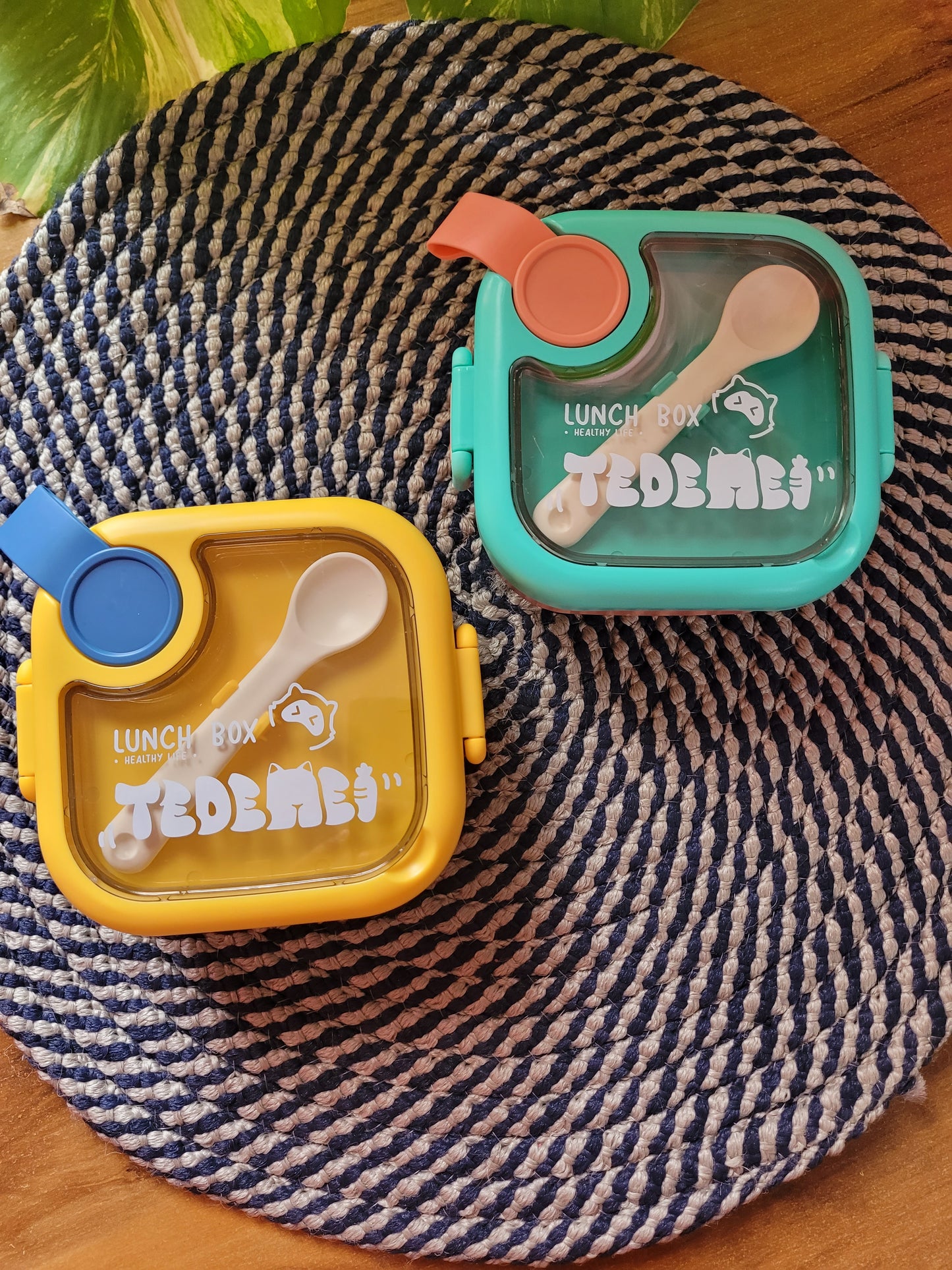 Tedemei Stainless Steel Lunch Box For Kids