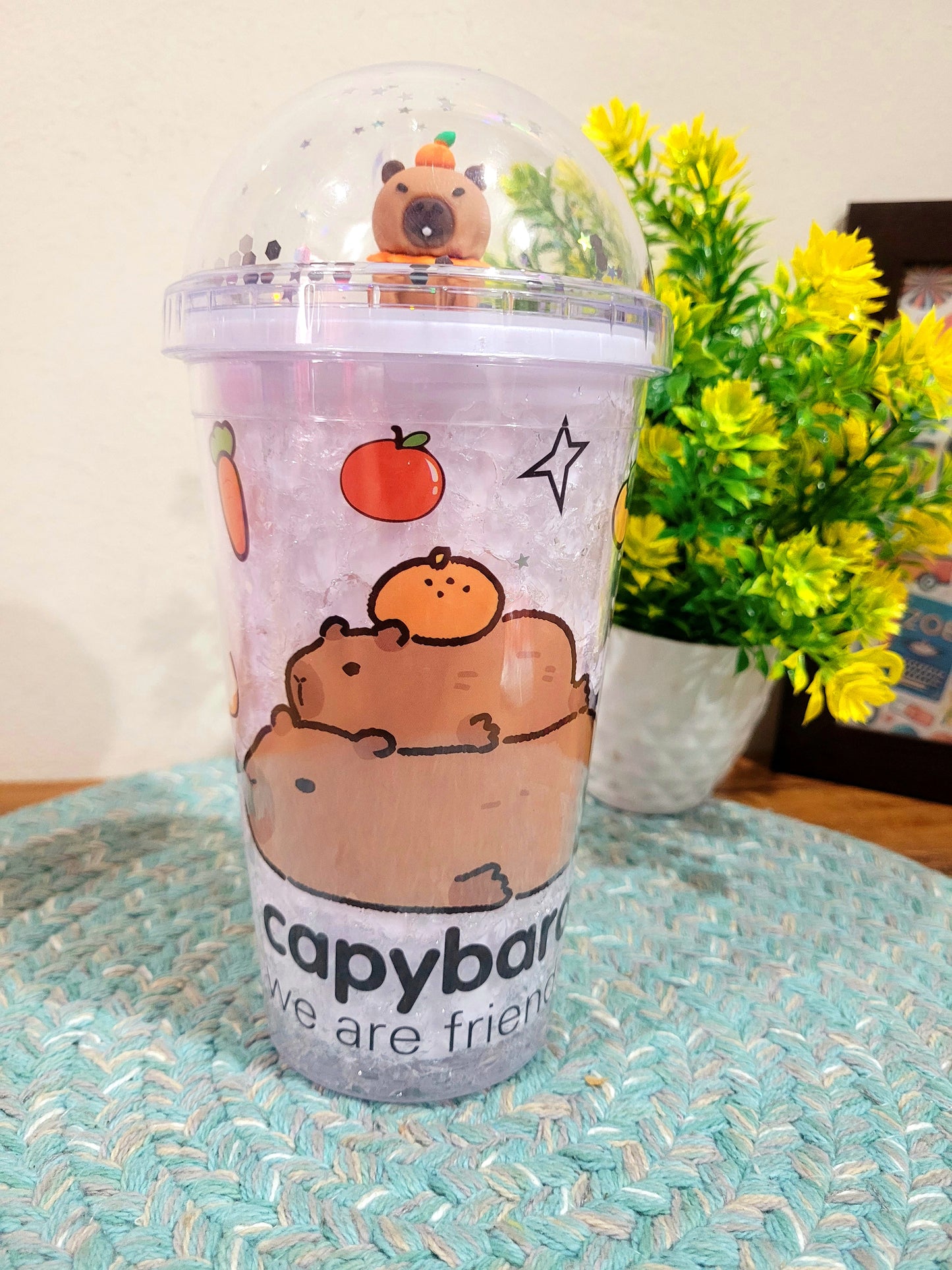 Capybara-We are friends Sipper