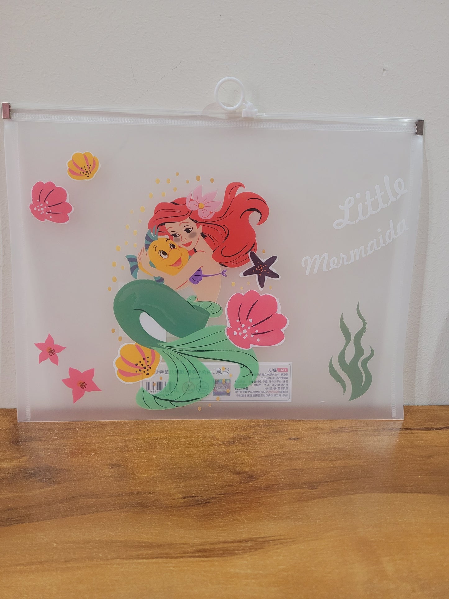 Disney Princess Ziplock Folder