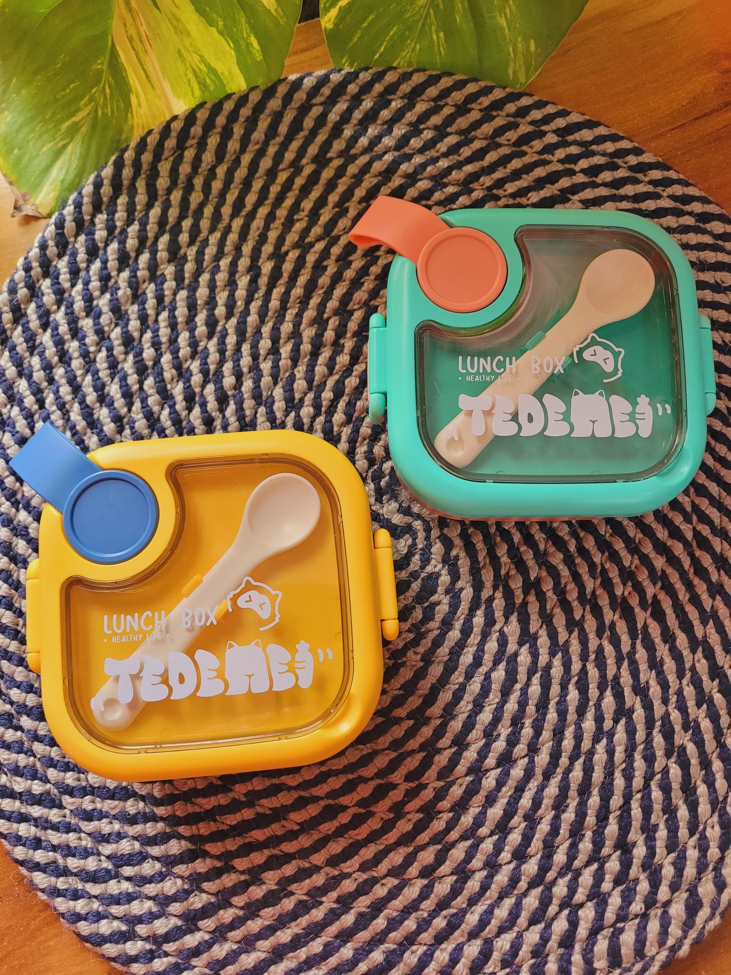 Tedemei Stainless Steel Lunch Box For Kids