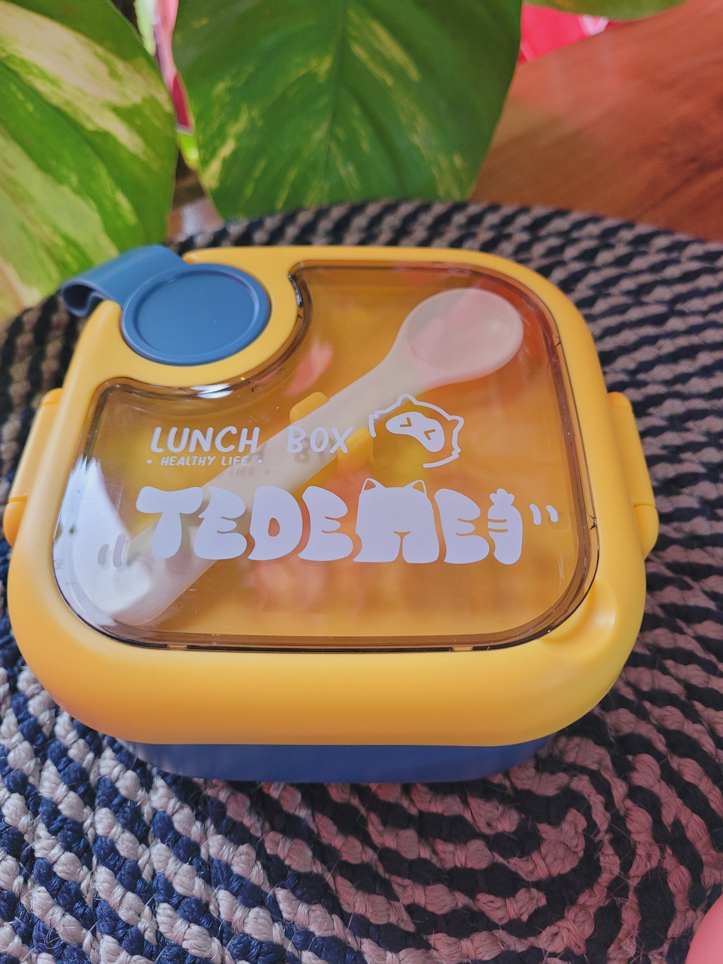 Tedemei Stainless Steel Lunch Box For Kids