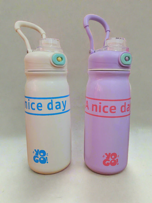 Stainless Steel 650 ML Water Bottle